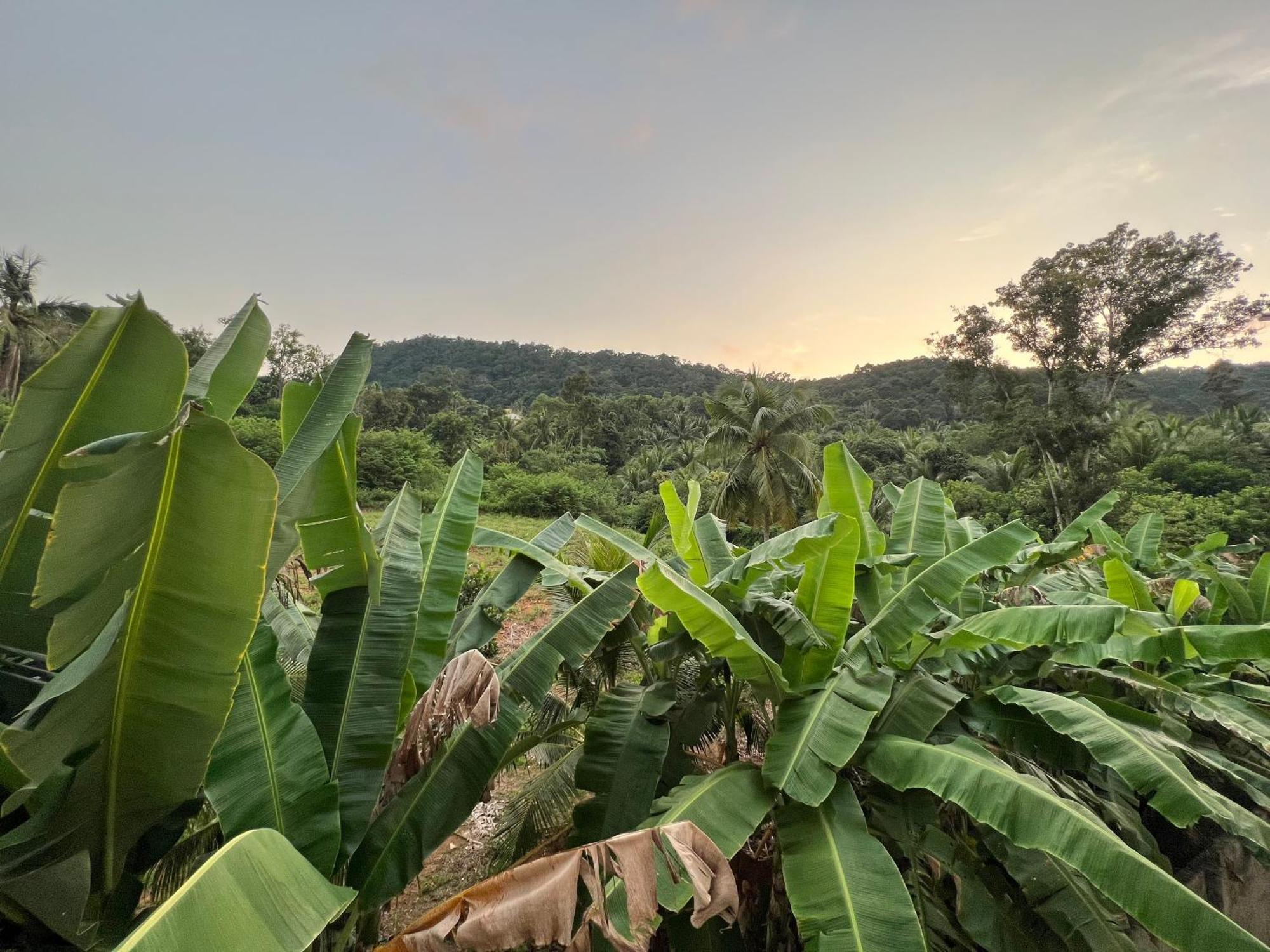 Bungalow Sáng Tươi Mountains Phu Quoc Exterior foto